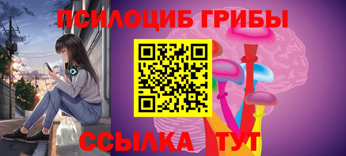 Галлюциногенные грибы GOLDEN TEACHER Балтийск