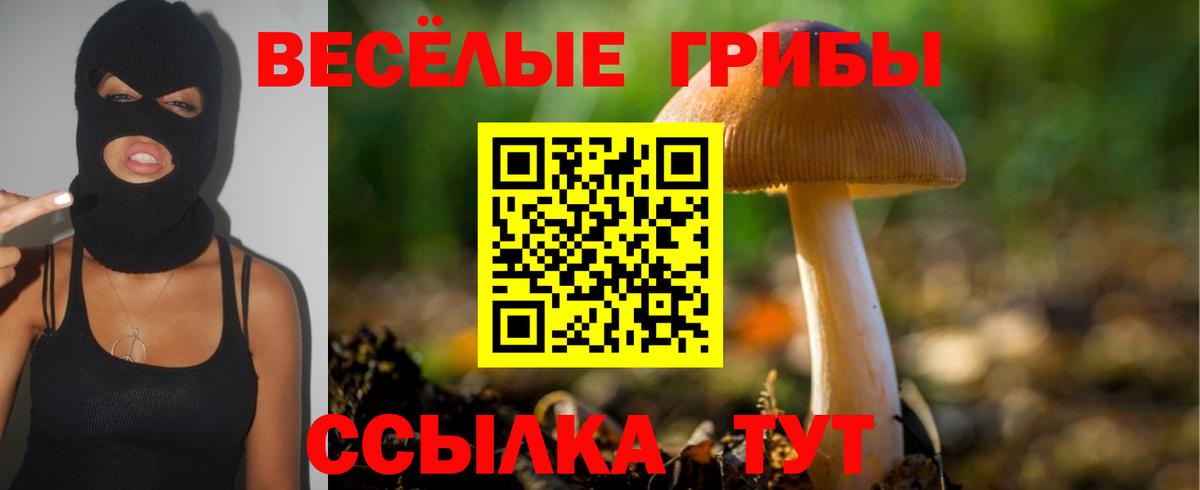 Балтийск  Псилоцибиновые грибы Psilocybine cubensis  Вход с VPN 